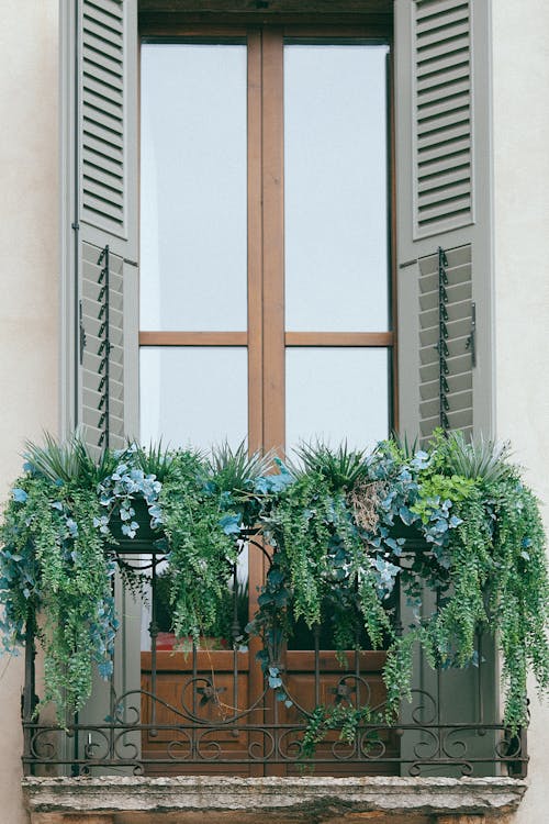 Elegant balcony with lush green plants adorning the facade, creating a classic and serene ambiance.