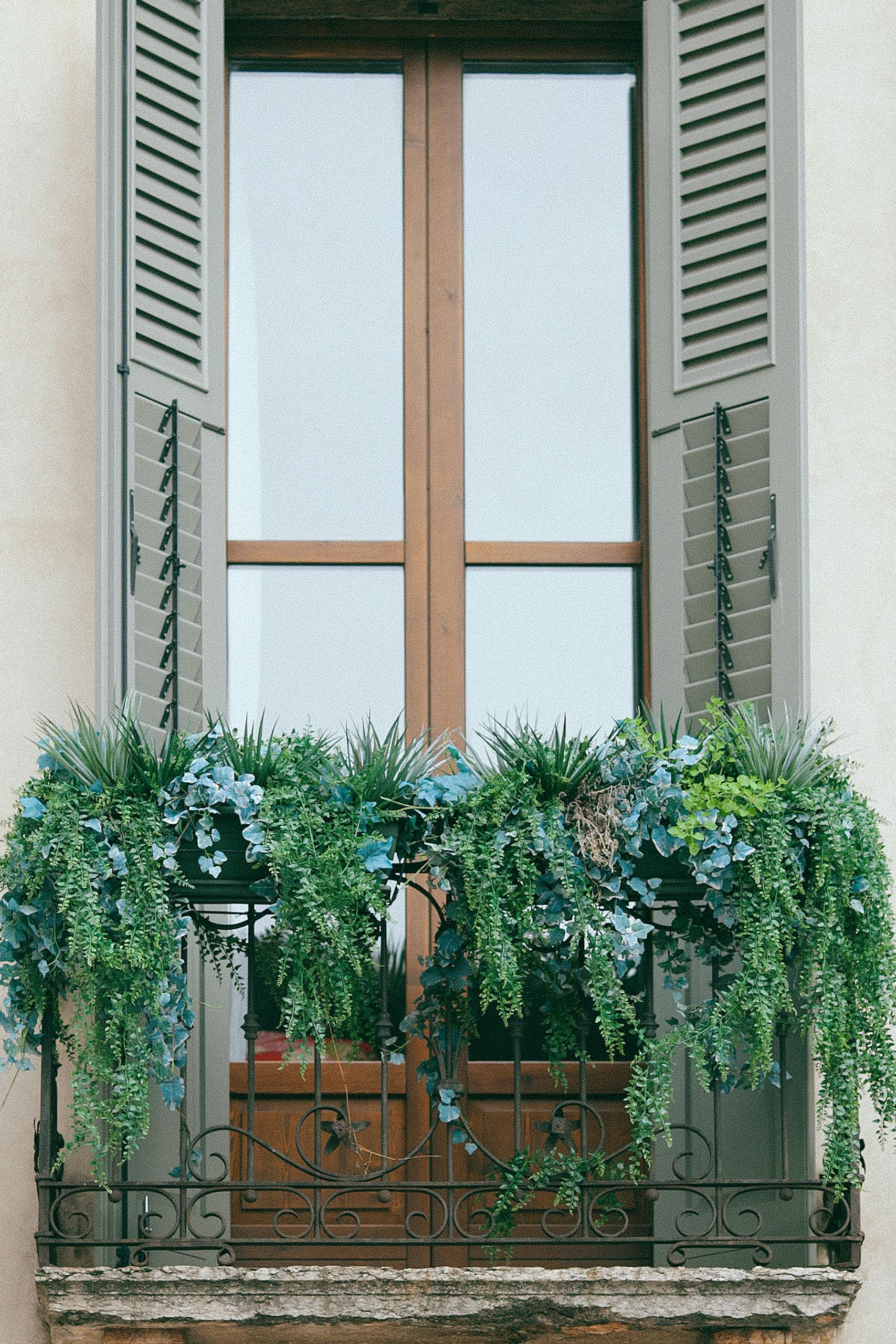 Elegant balcony with lush green plants adorning the facade, creating a classic and serene ambiance.